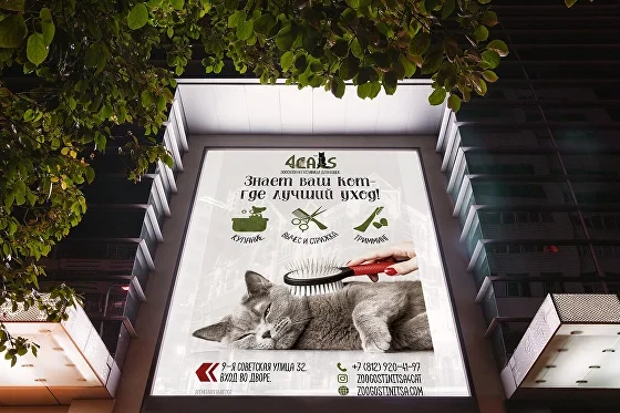 Разработка айдентики 4cats - изображение 3