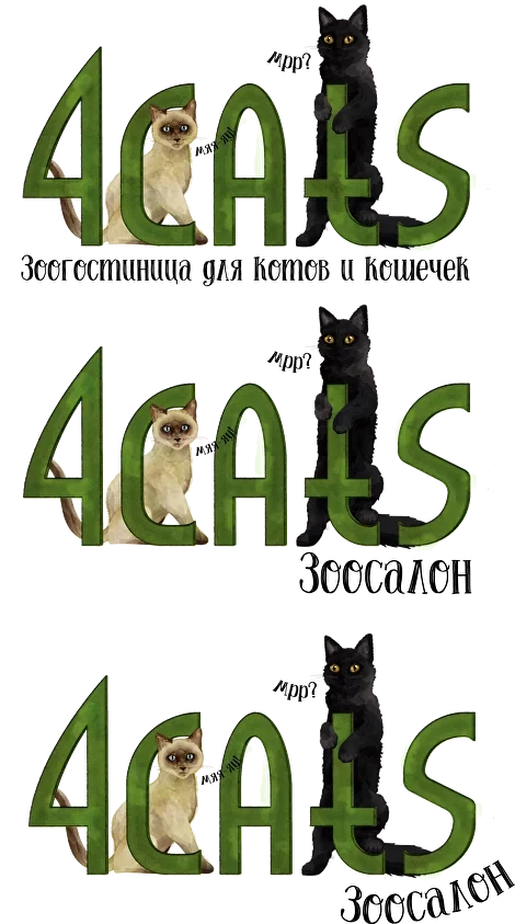 Разработка айдентики 4cats - изображение 1